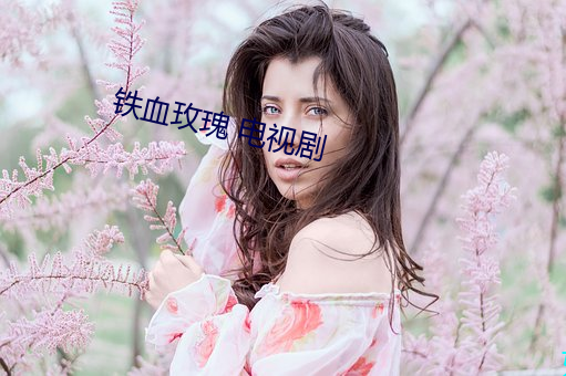 铁血玫瑰 电视剧