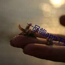 一品龅app下载