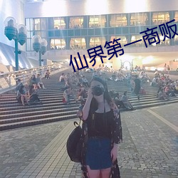 仙界(界)第(第)一商(商)贩
