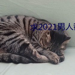 求2021男子都懂网