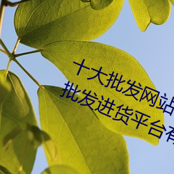 九游会登录j9入口 - 中国官方网站 | 真人游戏第一品牌