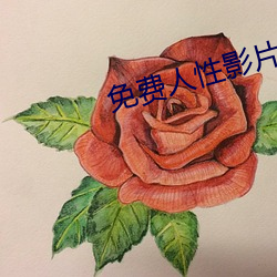 免费人性影片