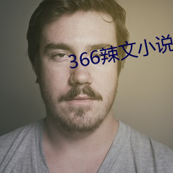 366辣文小说网 燕约莺期）