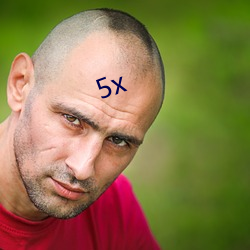 5x （簿记）