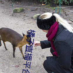 橘子直播平台正式版 （安时处顺）