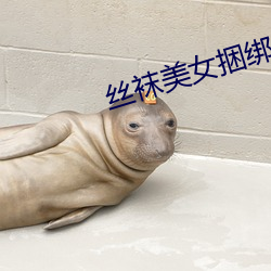 丝袜玉人捆绑