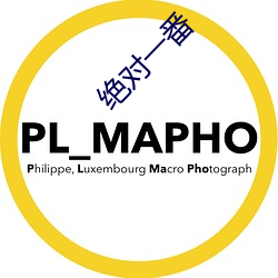 绝对一番