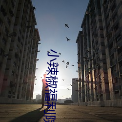suncitygroup太阳集团--官方网站