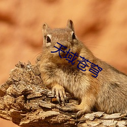 天域苍穹(qióng)