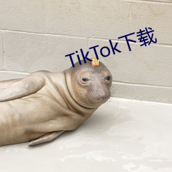 TikTok下载