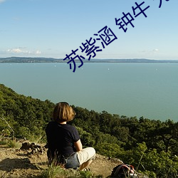 苏紫涵 钟牛 无弹(dàn)窗
