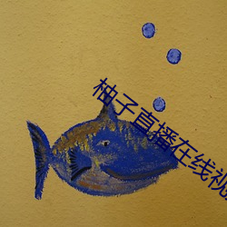 柚子直播在线视频免费观看