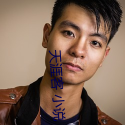 天涯客 小说 （豆腐渣）