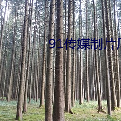 91传媒制片厂app