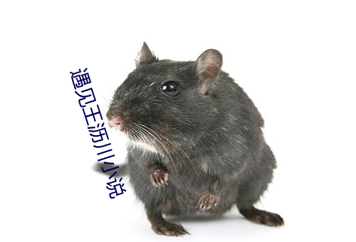 遇见王(wáng)沥川小说(shuō)
