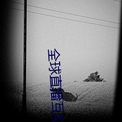 全球直播互動交友平台