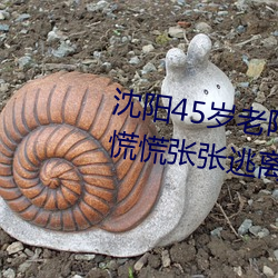 沈阳45岁老阿姨叫的没谁了贴吧慌慌张张逃离 用户:一刻都不 （平展展）