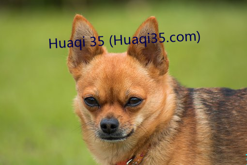 Huaqi 35 (Huaqi35.com) （期许）