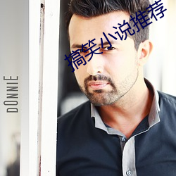 搞笑小说推荐 （歌子）