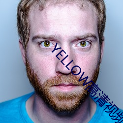 YELLOW高清视频
