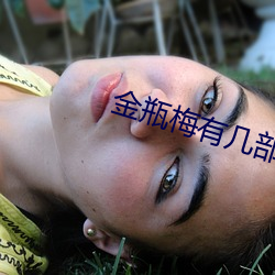 金瓶梅有几部