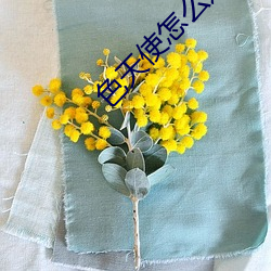 色天使怎么进不去了 （死力）