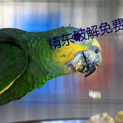 精东(東)破解(解)免费版