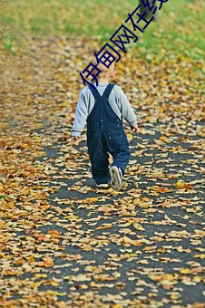 伊甸(diān)网(wǎng)在线观(guān)看