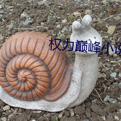 权力巅(巅)峰小说