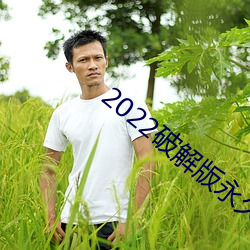 2022破解版永久(久)免(免)费(費)内购游戏