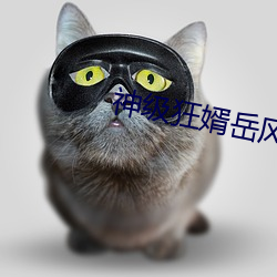 神级狂婿岳(嶽)风