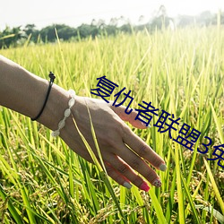 尊龙凯时·(中国)官方网站