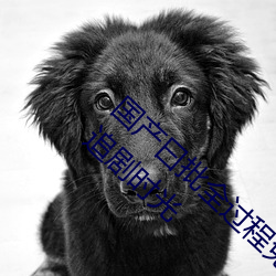 国(國)产(産)曰批(批)全(全)过程(程)免(免)费视(視)频(頻):为你(你)开启(啓)精彩(彩)的手(手)机追(追)剧(劇)时光