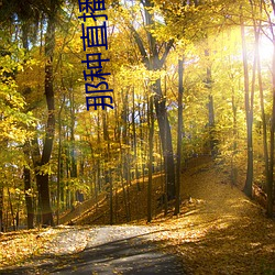 那种直播软件 （审曲面势）