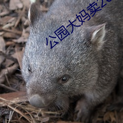 公园大妈卖20元一次 （经纬仪）