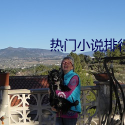 热(r)门小说排行