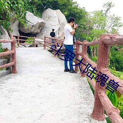 斗罗大陆魂兽 （望洋兴叹）