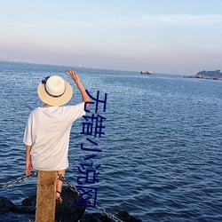無錯小說網