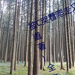 被C哭着爬走又(yòu)被拉(lā)回来挺(tǐng)进H(冥一道(dào)著)全(quán)文免(miǎn)费(fèi)阅(yuè)读