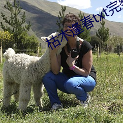 枯木逢春txt完整肉