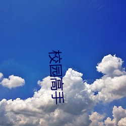 校(校)园高(高)手(手)