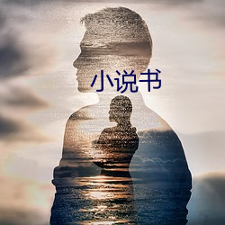 小说书