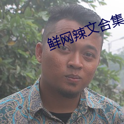 鲜(鮮)网辣文合集