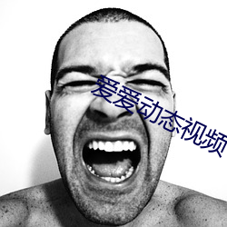 爱爱动态视频