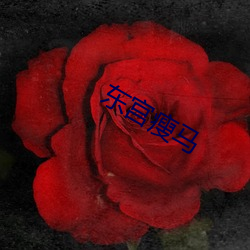 东宫瘦马(mǎ)