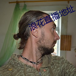 浪花直播地址 （诚至金开）