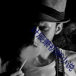 葉辰蕭初然小說