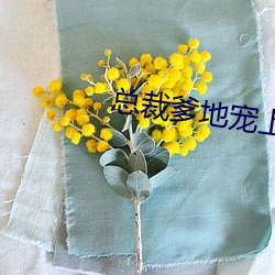 总裁爹地宠上天小说