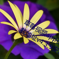 ǲ(й)ٷվ