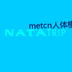 metcn人体模特(特)